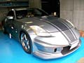Z33