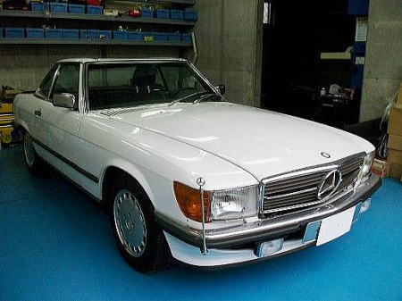 ZfXExcSLER107