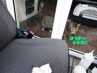 PbgV[g̃RQ